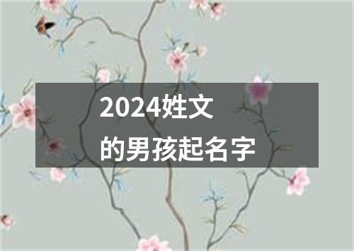 2024姓文的男孩起名字