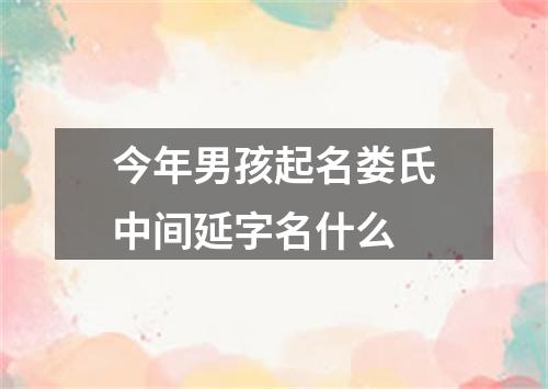 今年男孩起名娄氏中间延字名什么