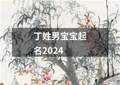 丁姓男宝宝起名2024