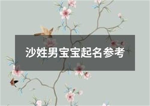 沙姓男宝宝起名参考