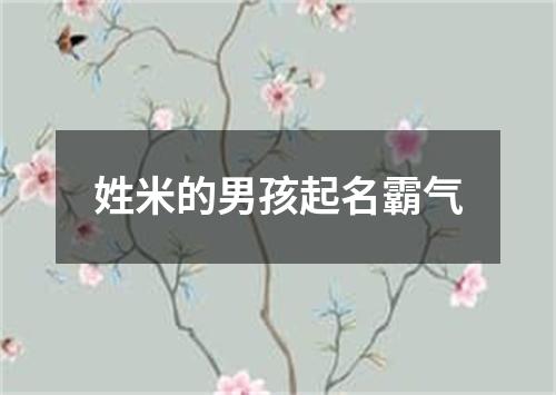 姓米的男孩起名霸气