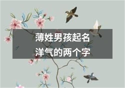 薄姓男孩起名洋气的两个字