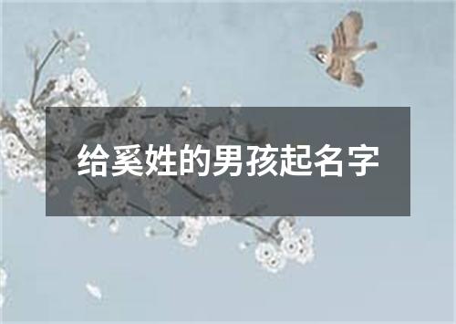 给奚姓的男孩起名字