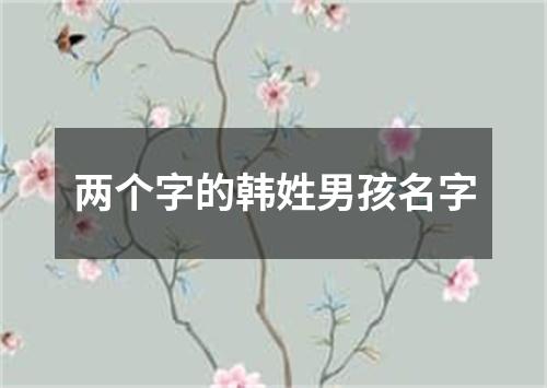 两个字的韩姓男孩名字