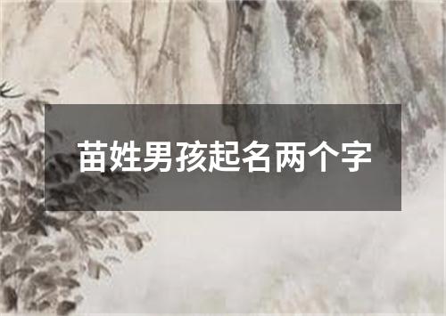 苗姓男孩起名两个字