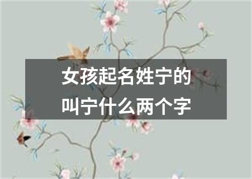 女孩起名姓宁的叫宁什么两个字