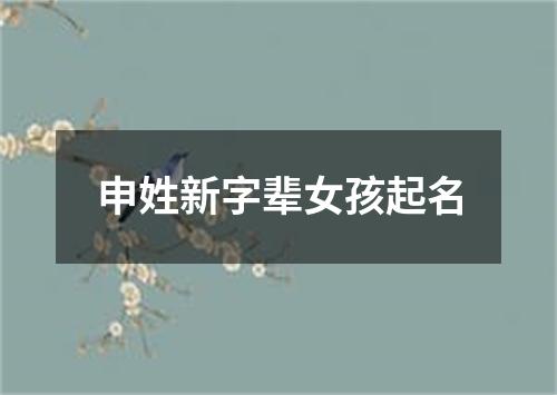 申姓新字辈女孩起名