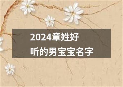 2024章姓好听的男宝宝名字