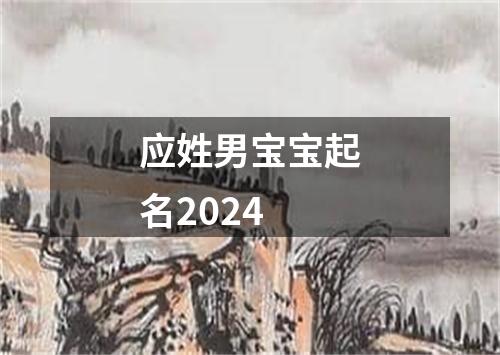 应姓男宝宝起名2024