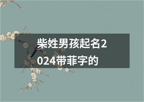 柴姓男孩起名2024带菲字的