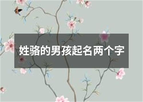 姓骆的男孩起名两个字