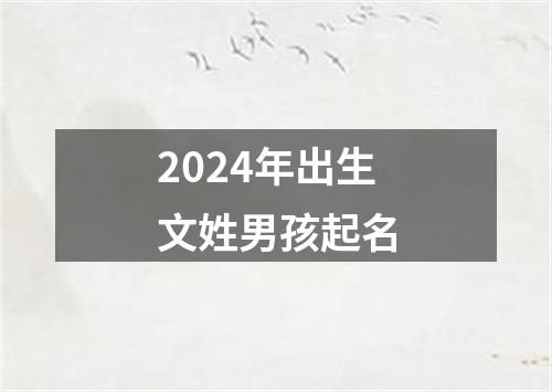 2024年出生文姓男孩起名