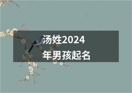 汤姓2024年男孩起名