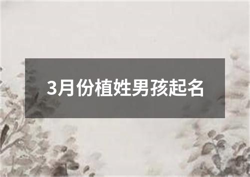 3月份植姓男孩起名