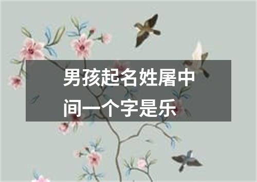 男孩起名姓屠中间一个字是乐