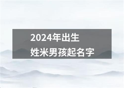 2024年出生姓米男孩起名字