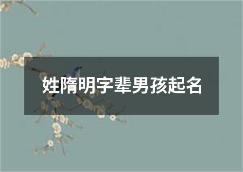 姓隋明字辈男孩起名