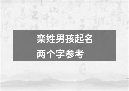 栾姓男孩起名两个字参考