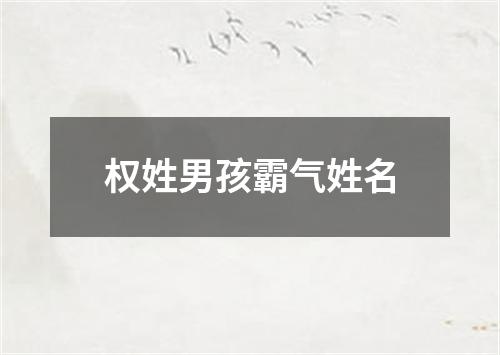 权姓男孩霸气姓名