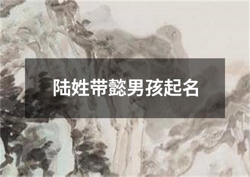 陆姓带懿男孩起名