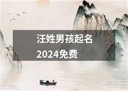 汪姓男孩起名2024免费