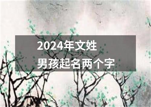 2024年文姓男孩起名两个字