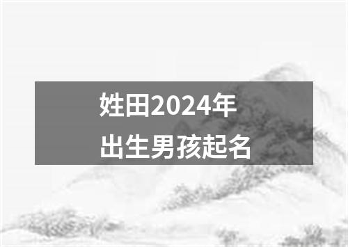 姓田2024年出生男孩起名