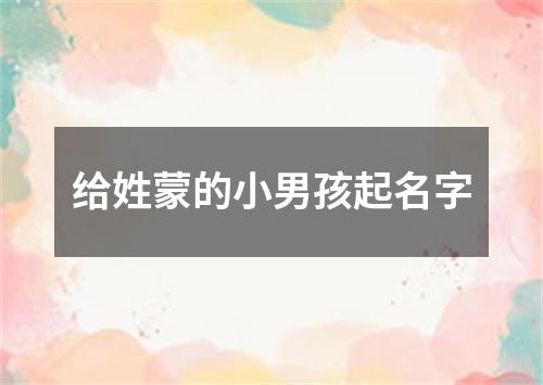 给姓蒙的小男孩起名字