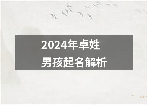 2024年卓姓男孩起名解析