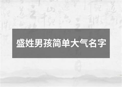 盛姓男孩简单大气名字