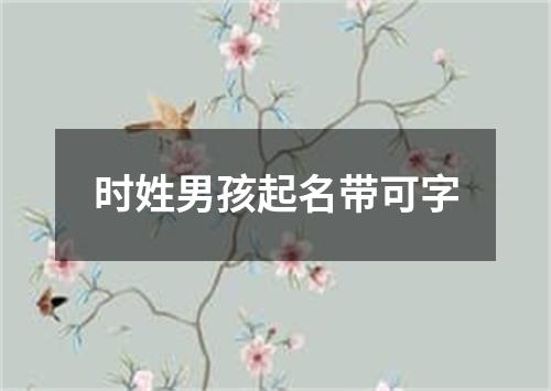 时姓男孩起名带可字