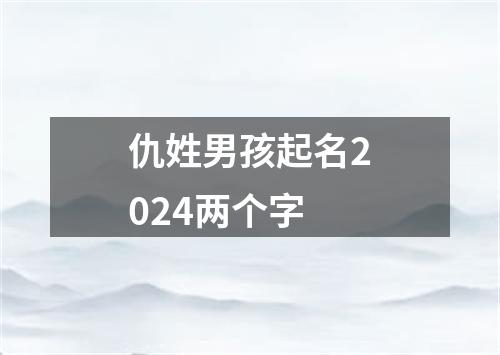 仇姓男孩起名2024两个字