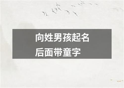 向姓男孩起名后面带童字