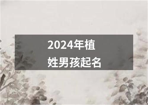 2024年植姓男孩起名