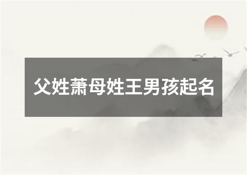 父姓萧母姓王男孩起名