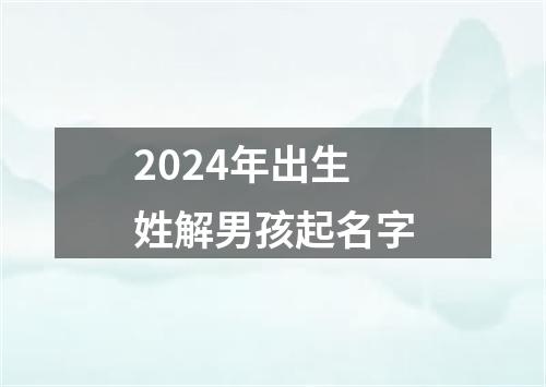 2024年出生姓解男孩起名字