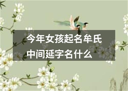 今年女孩起名牟氏中间延字名什么