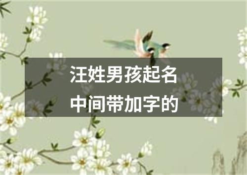 汪姓男孩起名中间带加字的