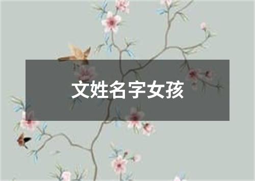 文姓名字女孩