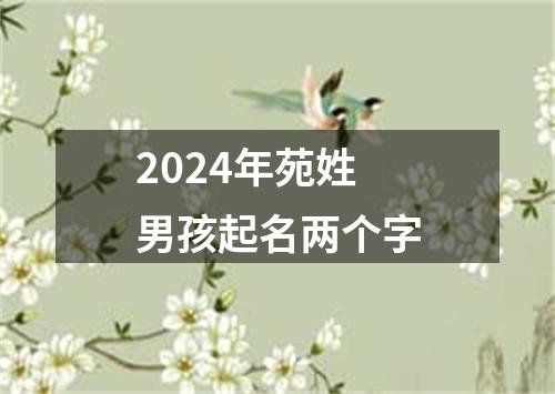 2024年苑姓男孩起名两个字