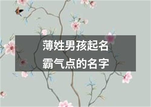 薄姓男孩起名霸气点的名字