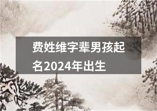 费姓维字辈男孩起名2024年出生