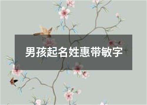 男孩起名姓惠带敏字