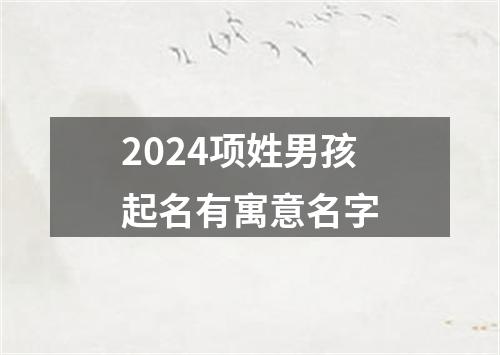 2024项姓男孩起名有寓意名字