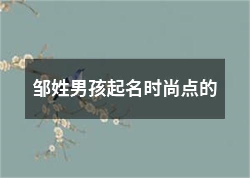 邹姓男孩起名时尚点的