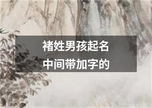 褚姓男孩起名中间带加字的