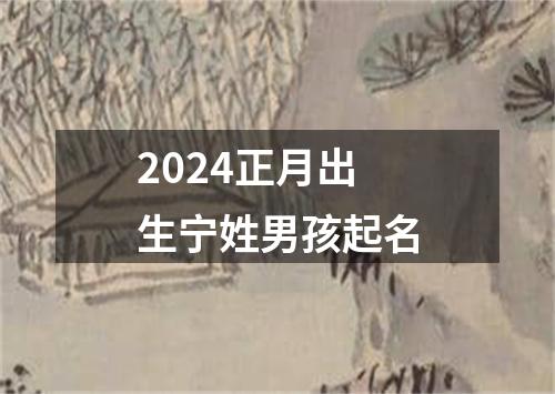 2024正月出生宁姓男孩起名