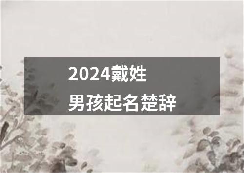 2024戴姓男孩起名楚辞