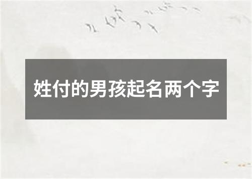 姓付的男孩起名两个字