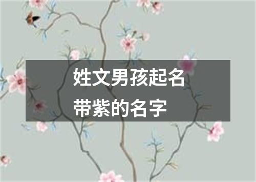 姓文男孩起名带紫的名字